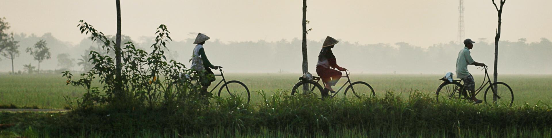 Bicycles in Indonesia